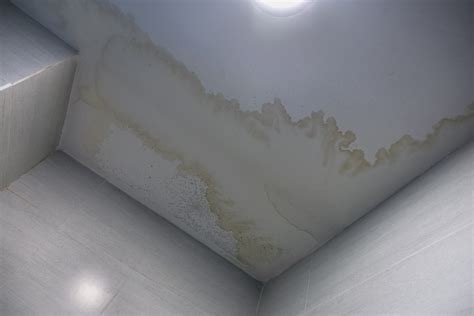 damp patch on ceiling, but no leak|What to do if you notice a damp patch on your ceiling